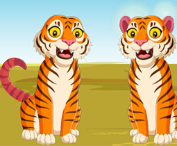 Deux tigres